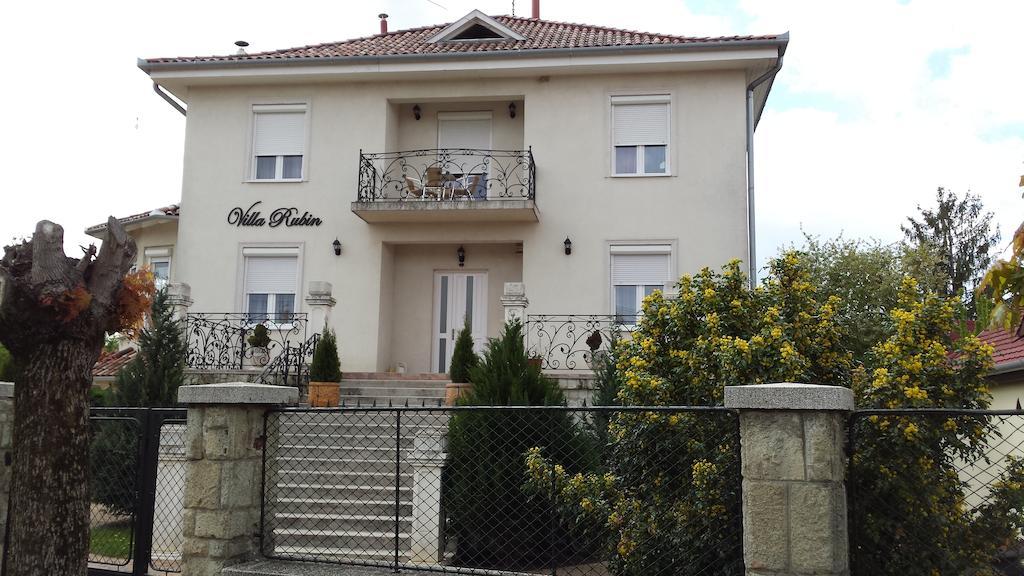 Villa Rubin Panzio Hajdúszoboszló Exterior foto